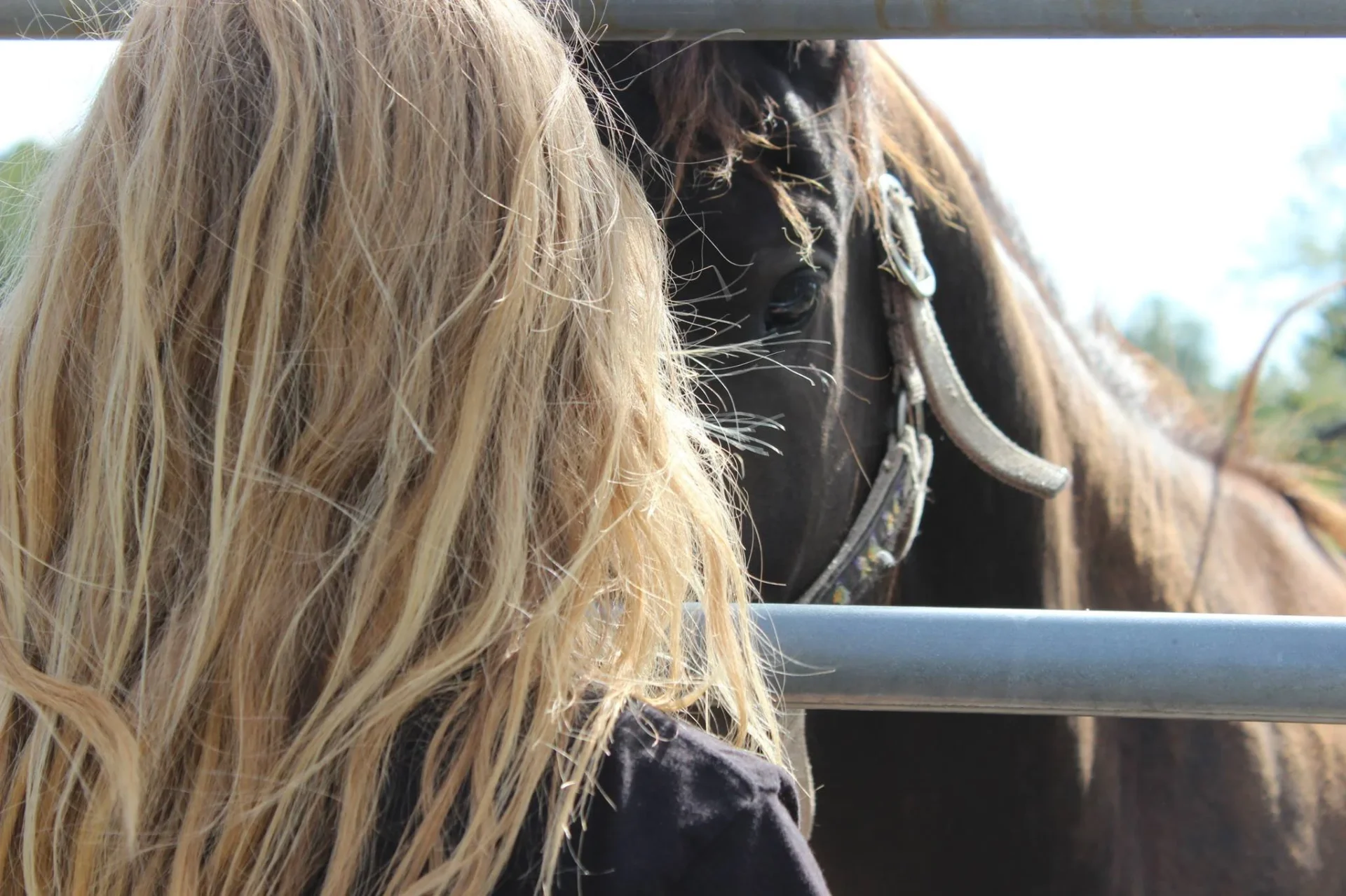 Femme face à un cheval brun, moment de connexion silencieuse